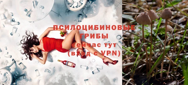 мескалин Аркадак