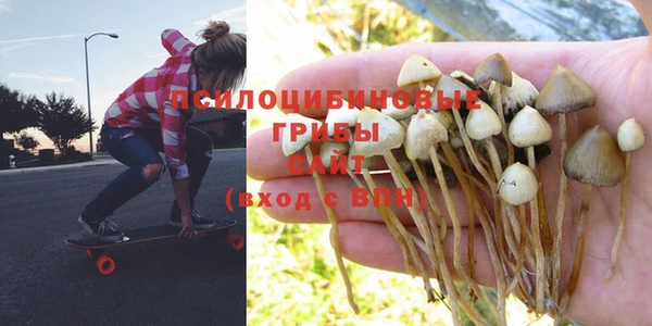 круглые Алзамай